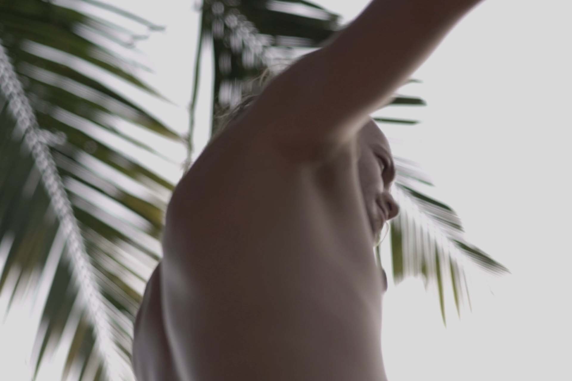 Low angle shot of man on a slack line with palm trees in background